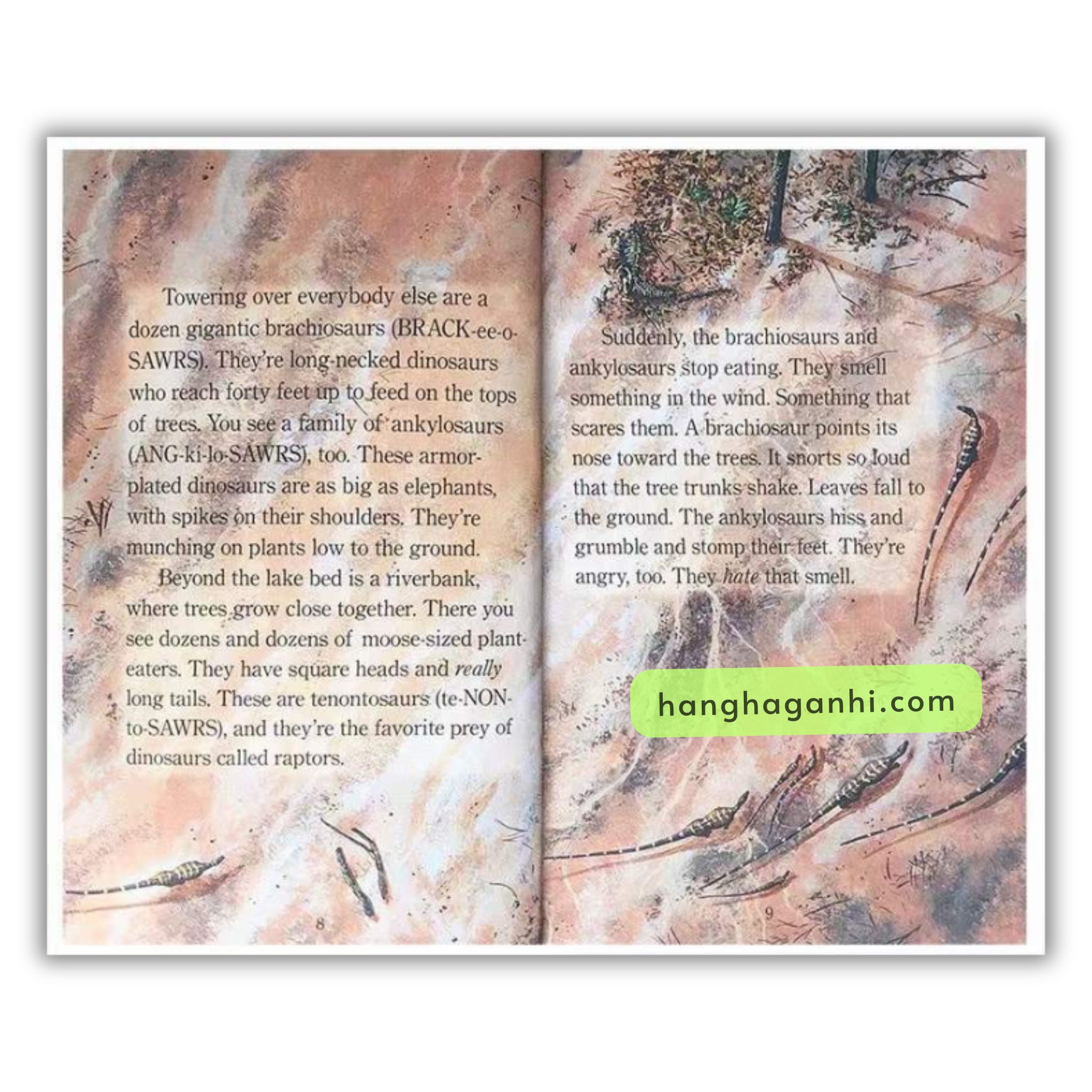 Bộ sách Step Into Reading Level  5 - 11 cuốn ( Sách nhập khẩu)_thumbnail_5
