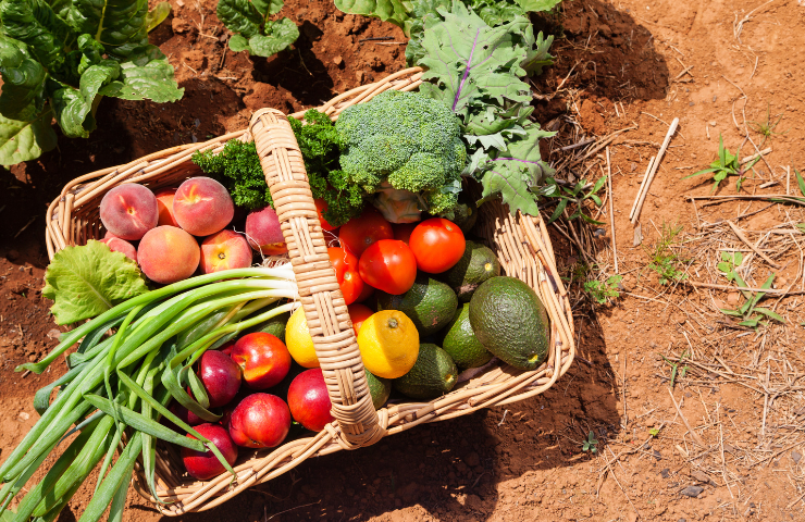 Top 10 loại trái cây giàu canxi tốt cho sức khoẻ