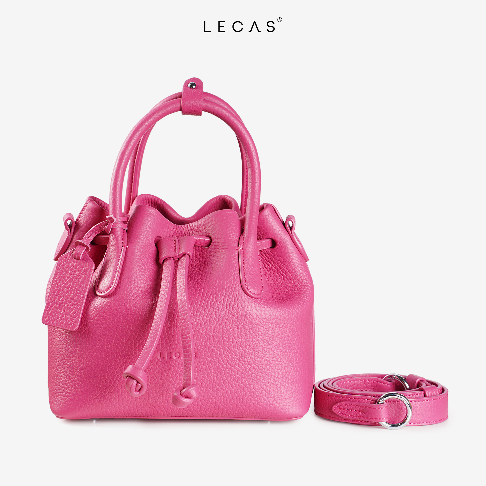 Cúc Nhí_thumbnail_1