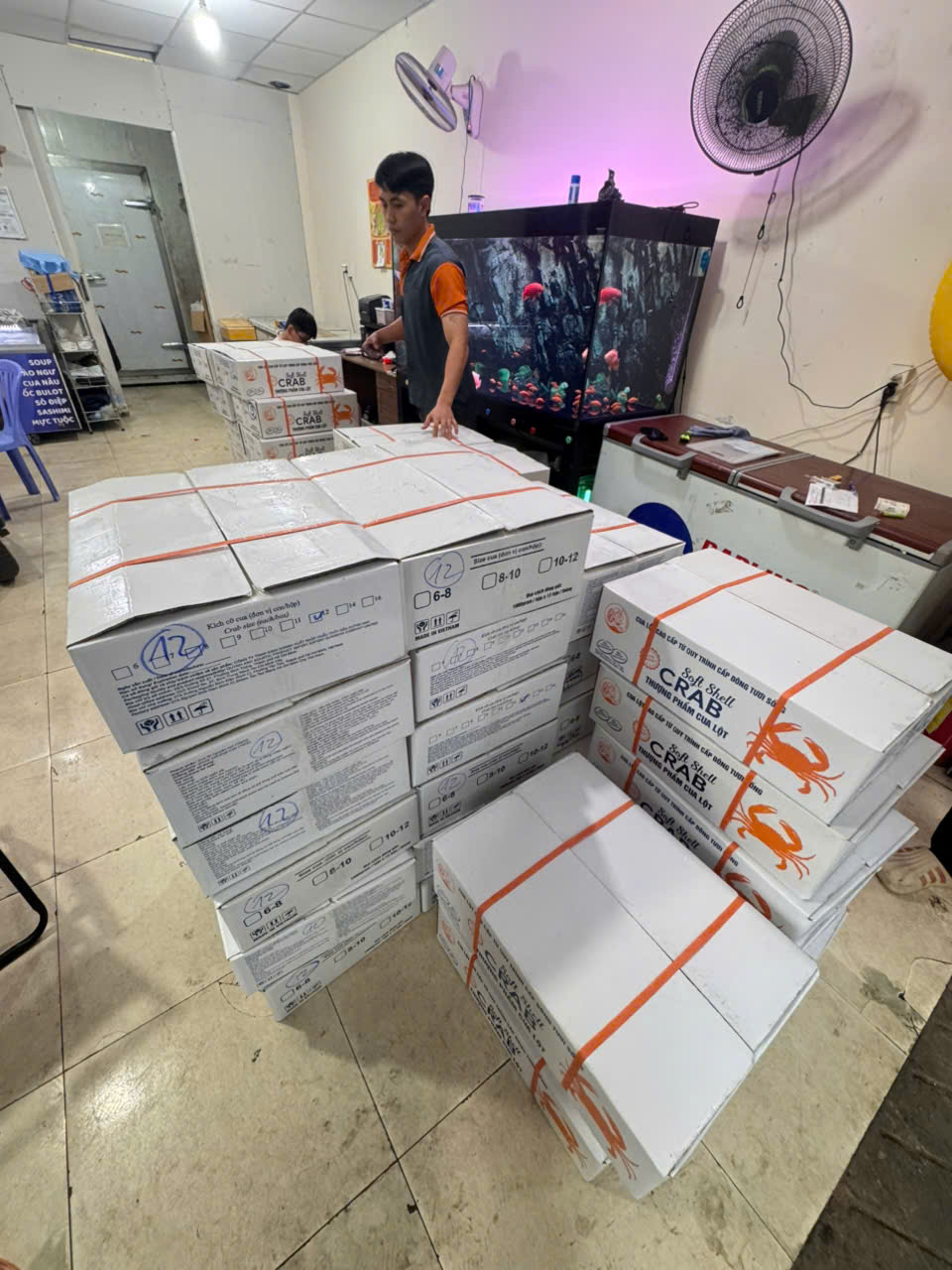Cua Lột đông lạnh_thumbnail_8