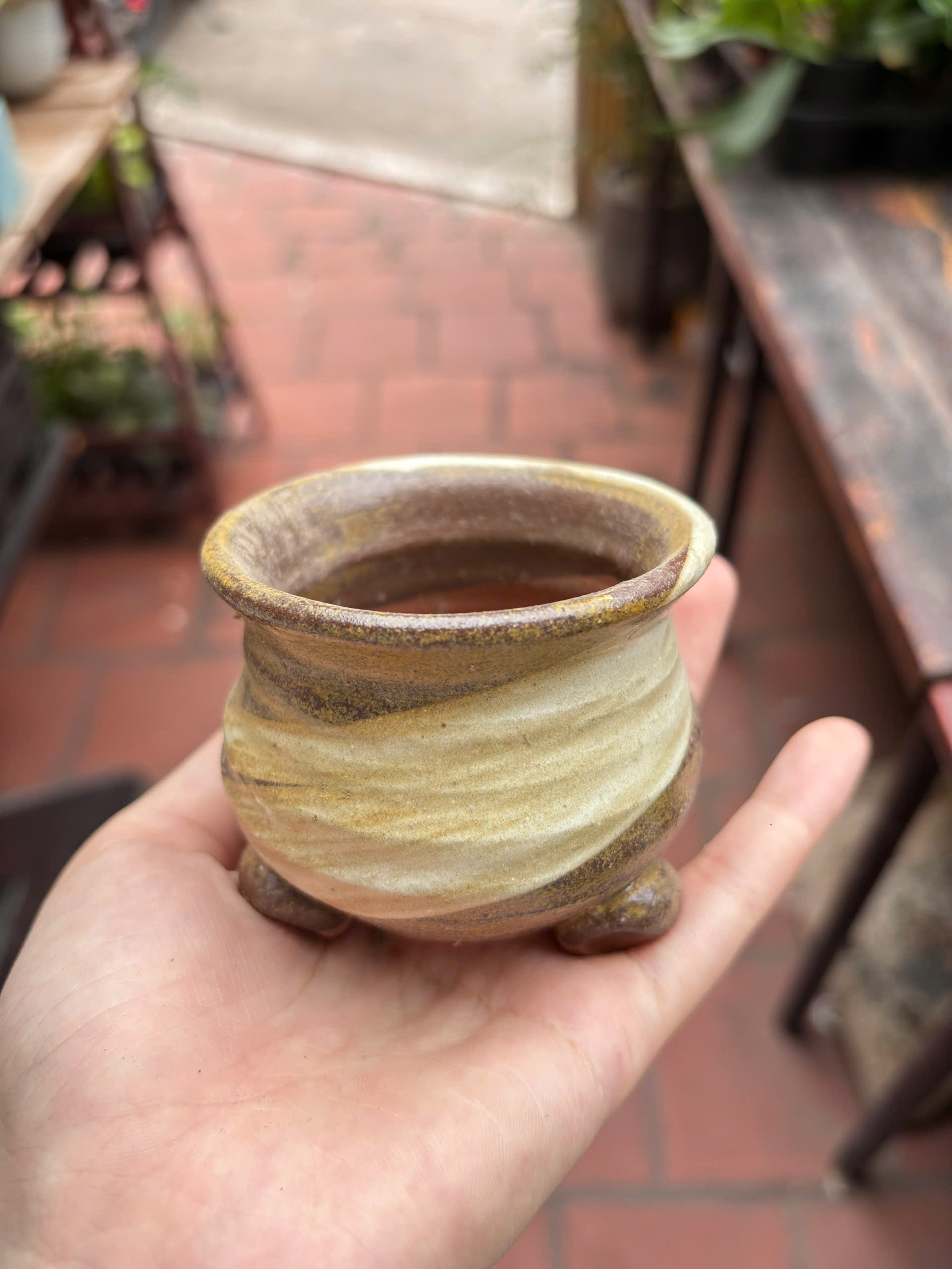 CHẬU CAO CẤP 2_thumbnail_12