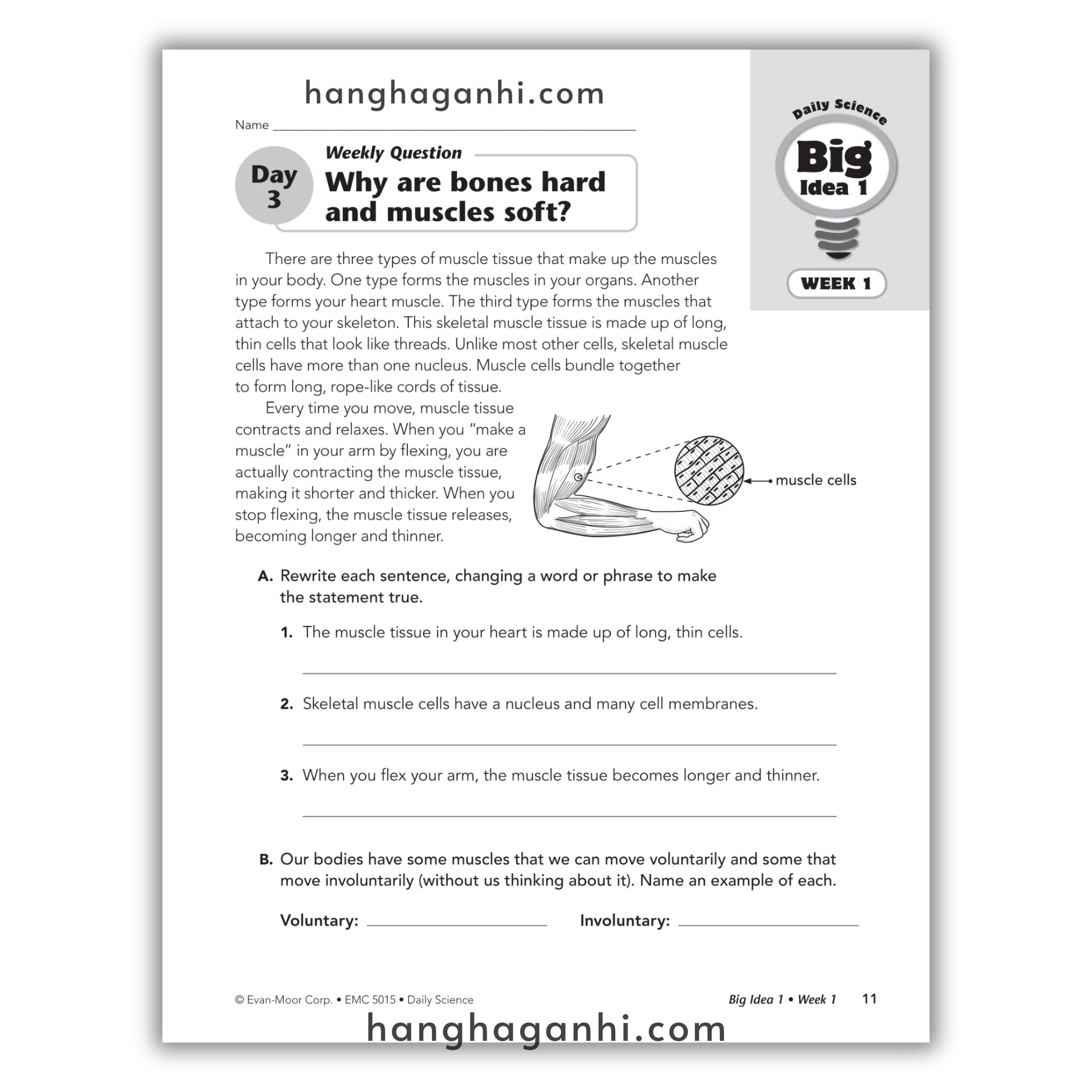 Daily Science Grade 5_thumbnail_5