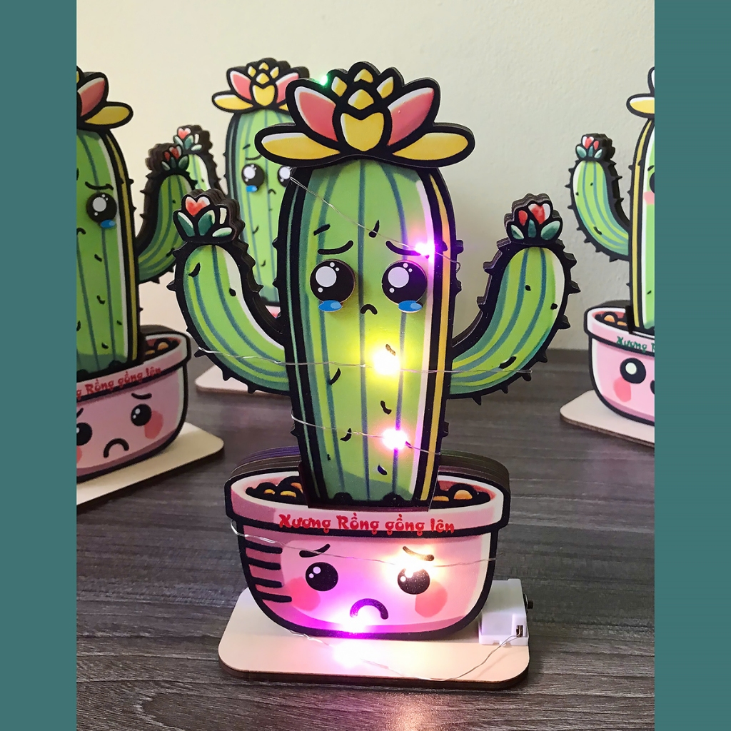 Xương Rồng Gỗ Bất Tử - 2 Mặt Cảm Xúc Buồn Vui, Decor Bàn Học & Bàn Làm Việc_thumbnail_3