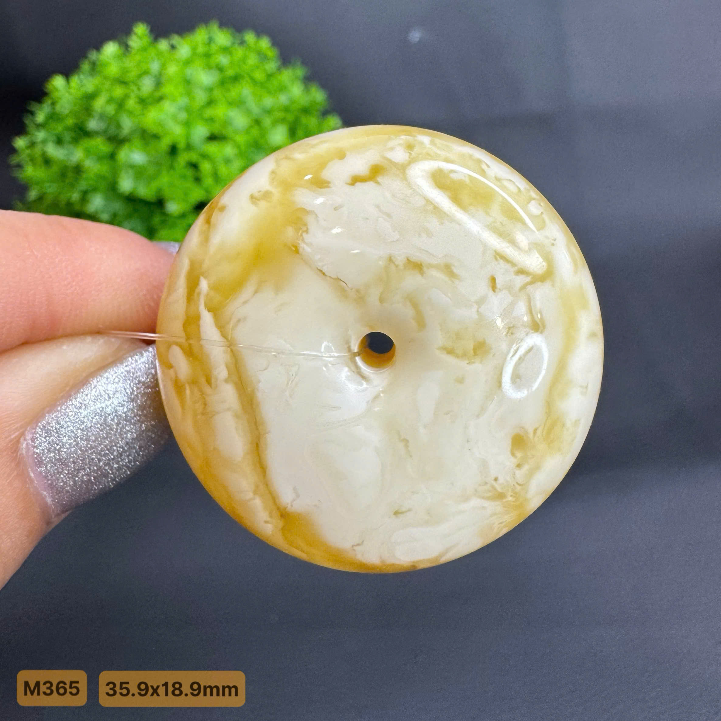 Đồng Điếu Mật Bạch  - M365