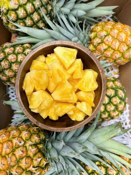 Dứa mật Pulau Điện Biên_thumbnail_3