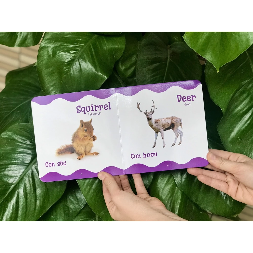 Combo 6c Từ điển bằng hình cho trẻ mầm non_thumbnail_1