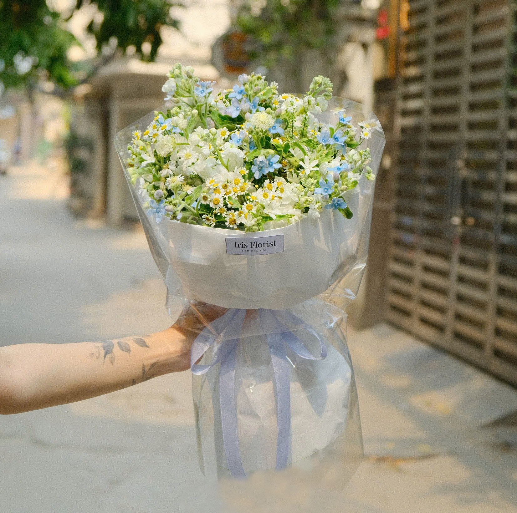 Mộng Lam - Bó hoa sao xanh mix phi yến (hoa lam tinh)