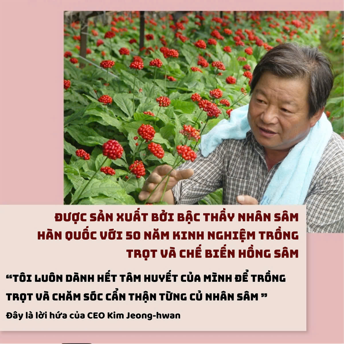 Kẹo Hồng Sâm 6 năm Tuổi 200gr Kim’s Red Ginseng Candy_thumbnail_3