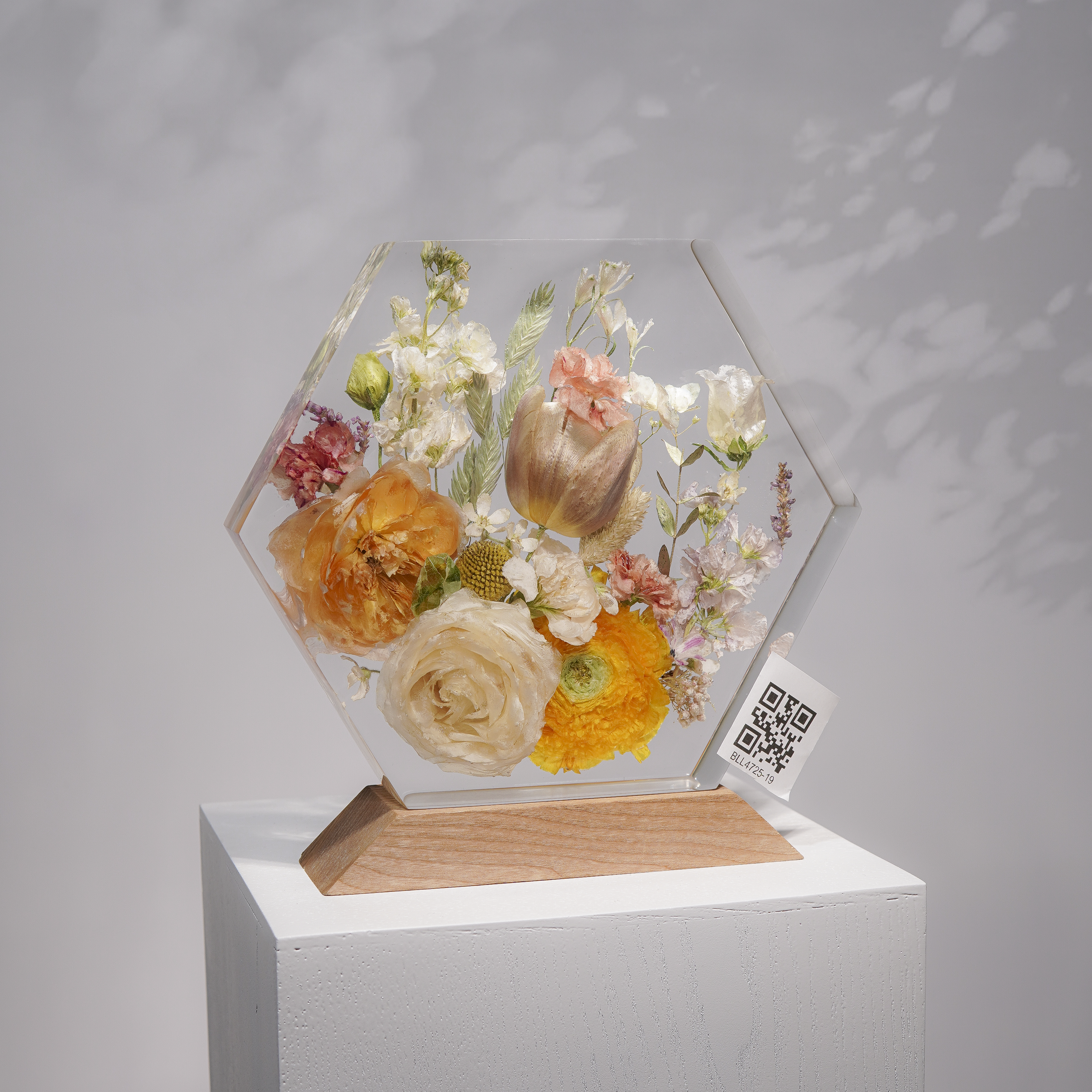 Đèn Hoa Độc Bản Bloomlight BLL4725-19