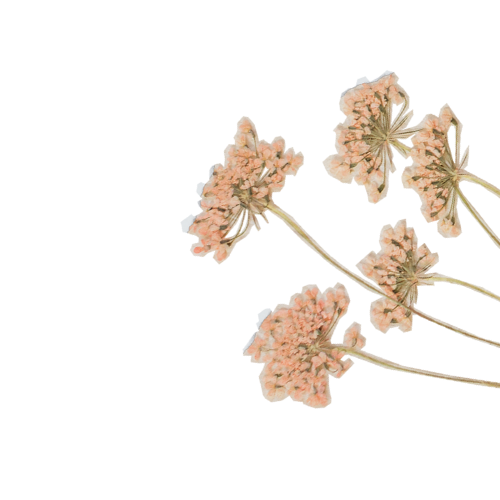 Untitled design (23)