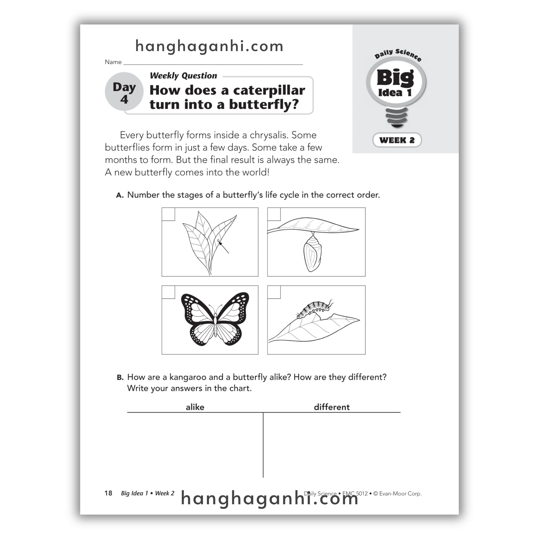 Daily Science Grade 2_thumbnail_12