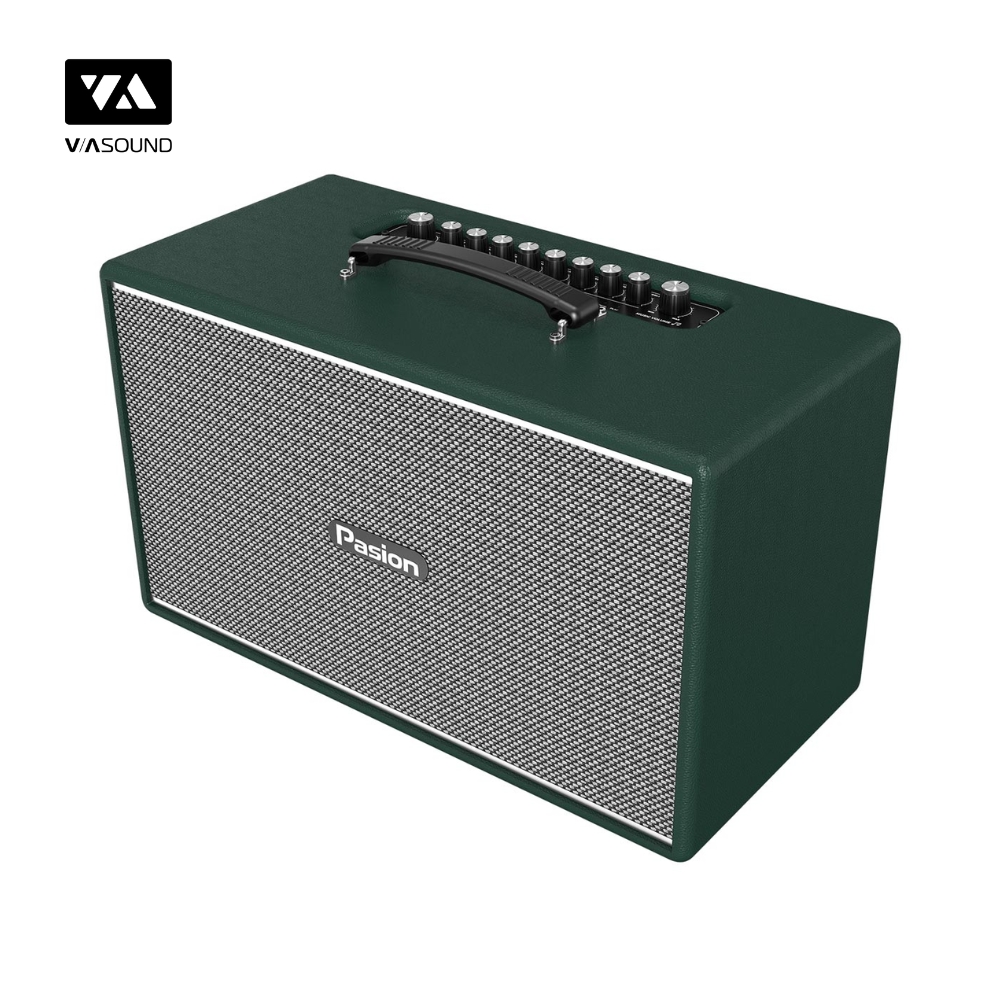 Loa Xách Tay PARAMAX PASION ENZO_thumbnail_10