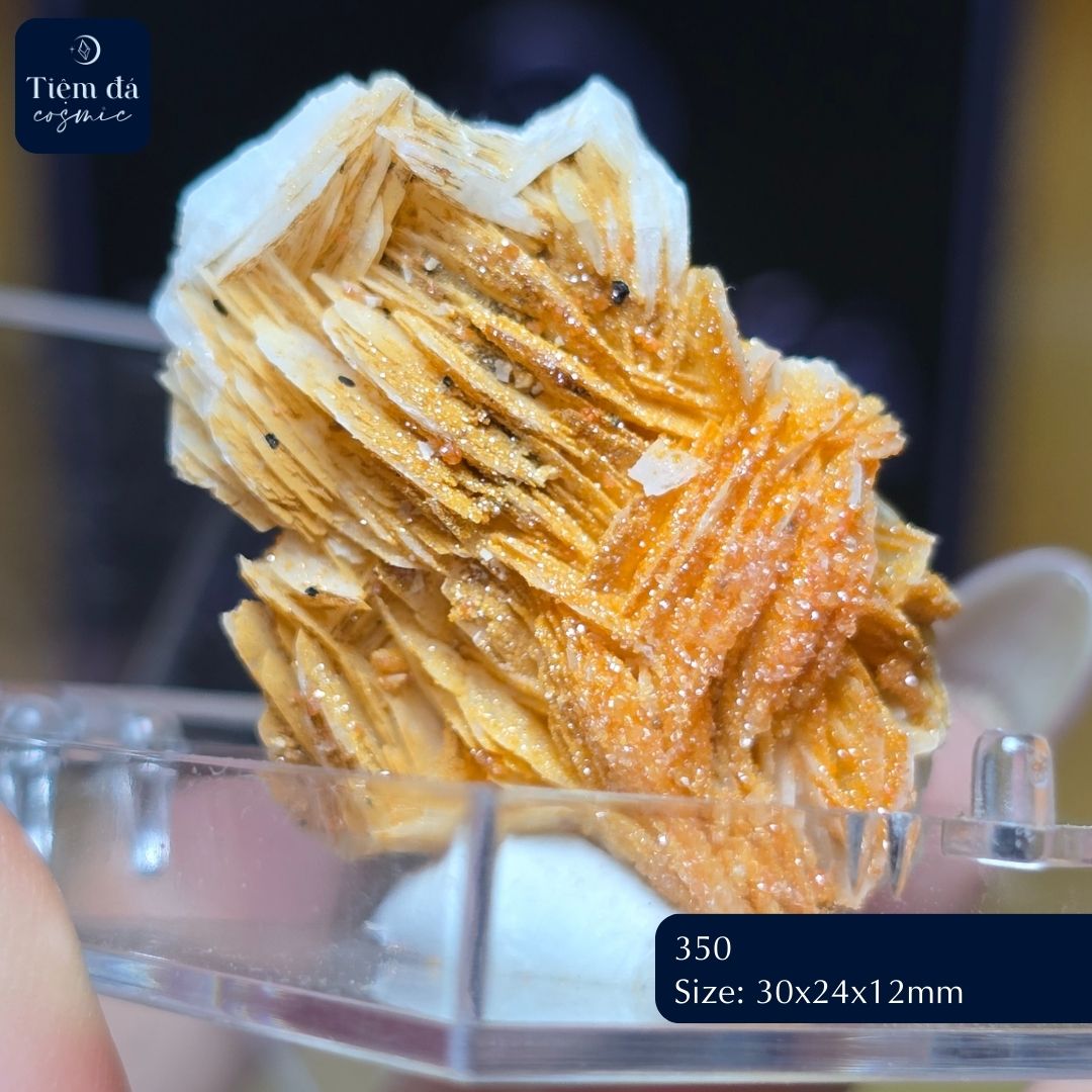 Vanadinite cộng sinh trên Barite - Xuất xứ Morocco_thumbnail_4