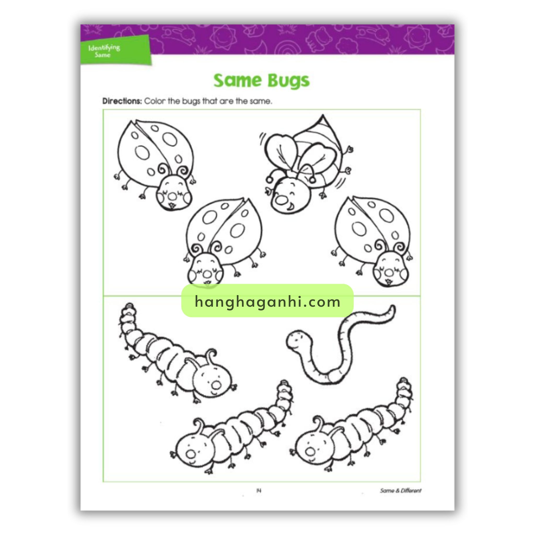 Spectrum 3+ Same & Different Basic Beginnings, sách Mỹ cho bé_thumbnail_10