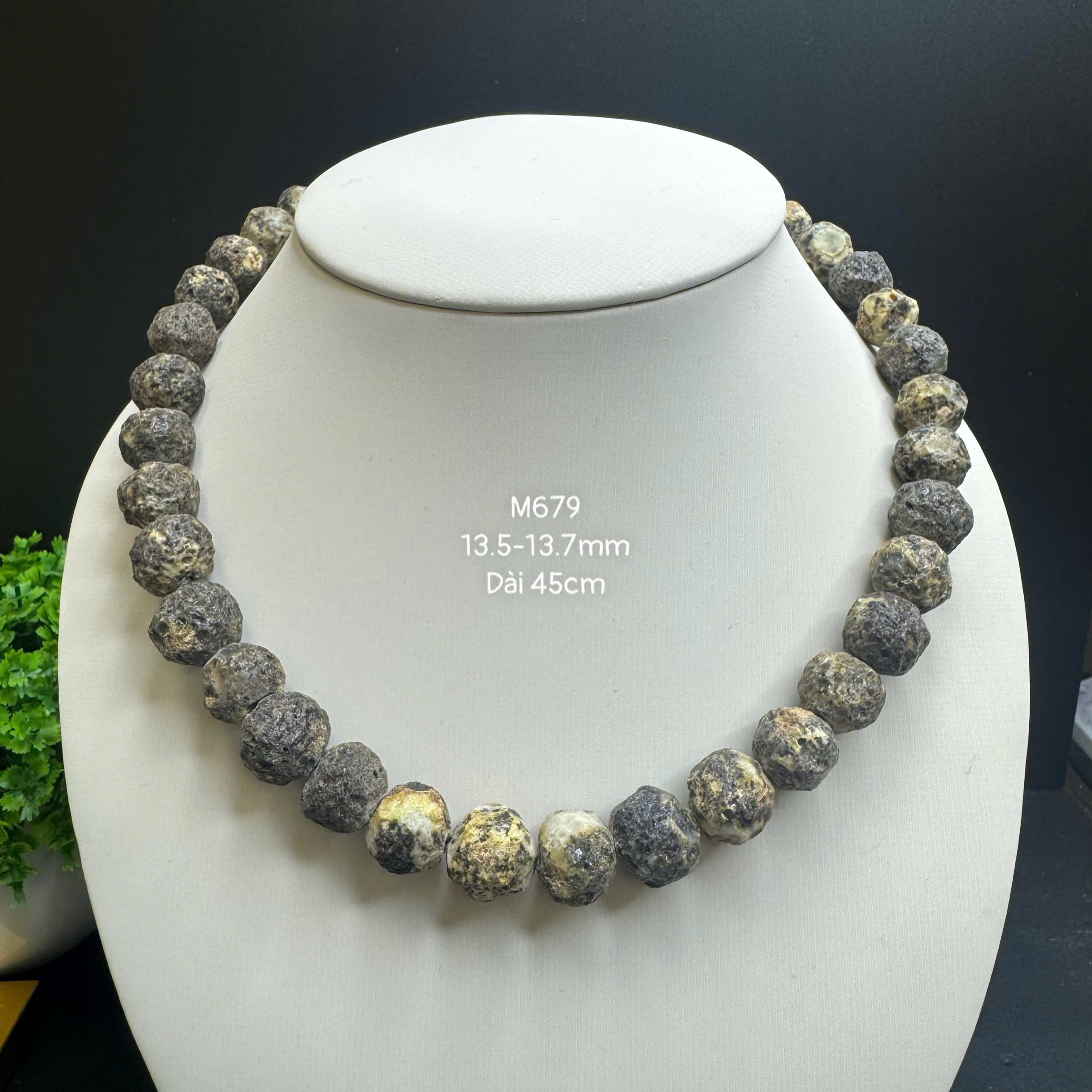 Vòng Cổ Thô Y Tế - M679