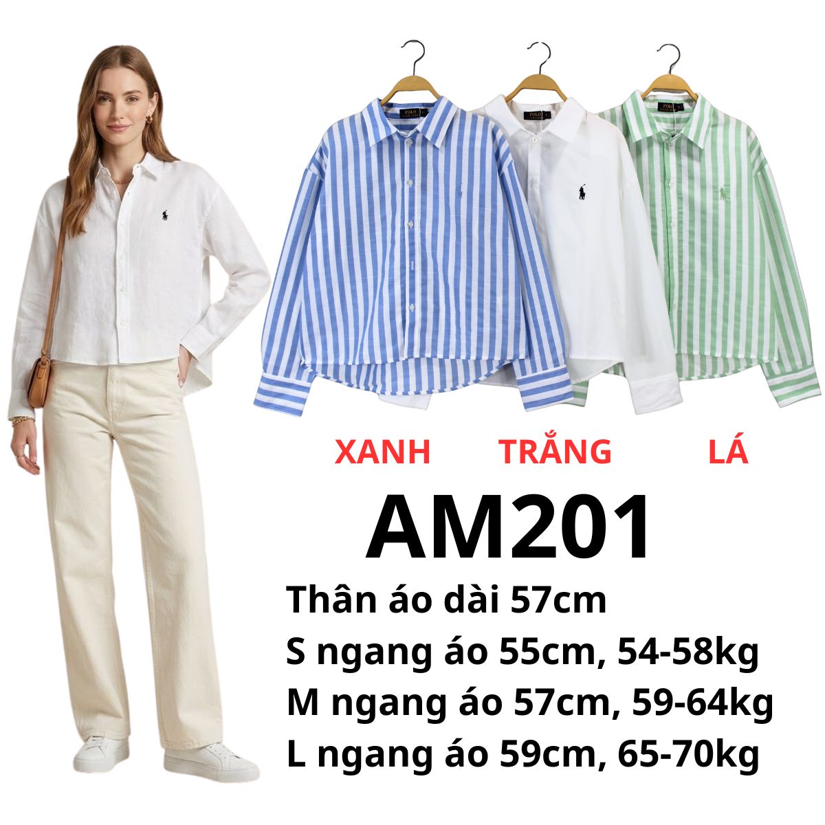 AM201 - Áo sơ mi polo