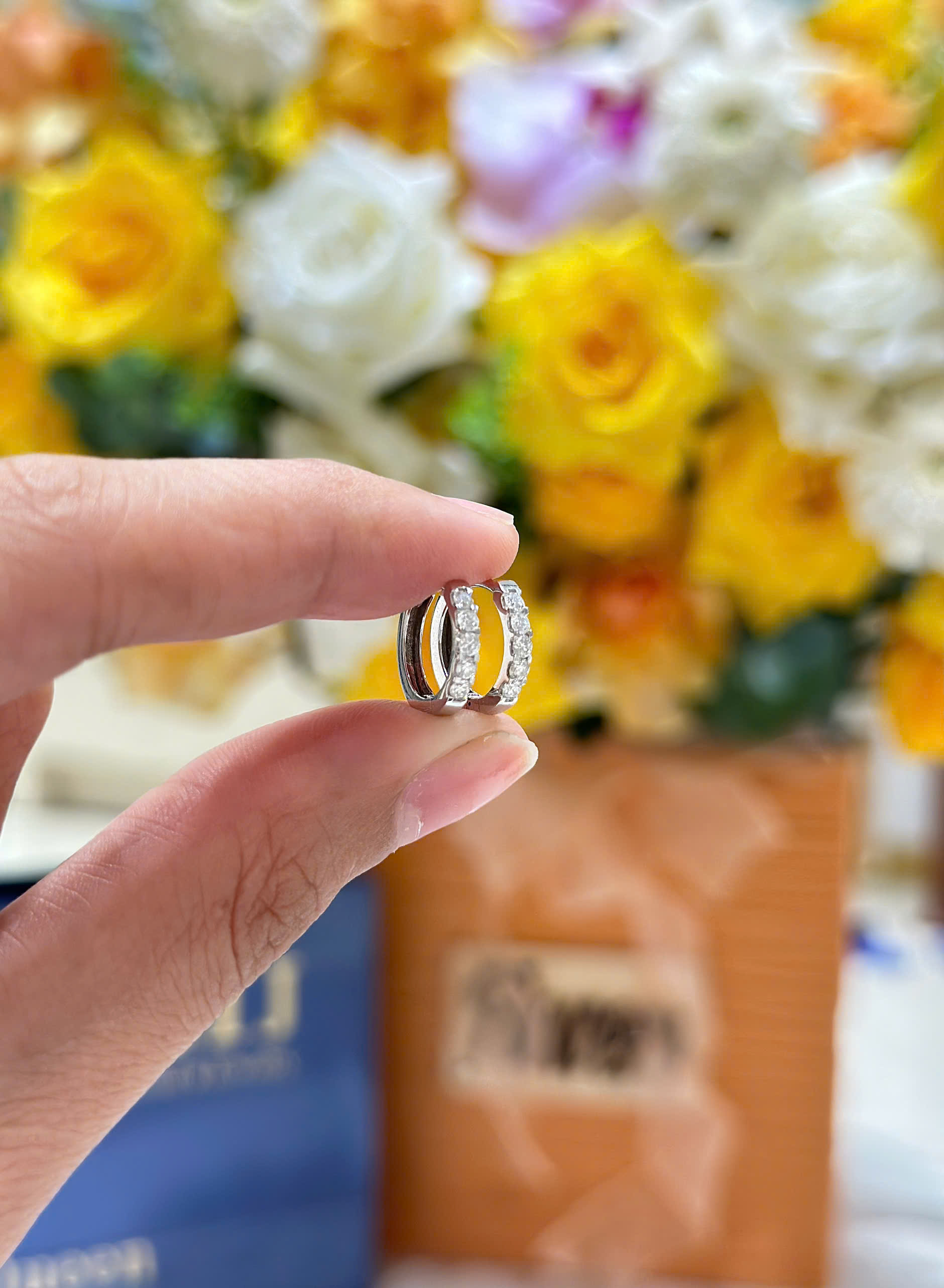 Bông Tai Kim Cương_thumbnail_3