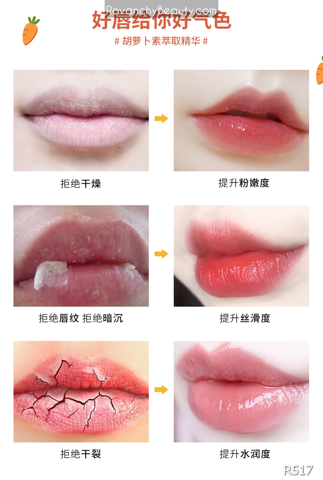 Son dưỡng môi ROVANCHY chiết xuất tự nhiên - Chống nứt nẻ, lên màu tự nhiên, an toàn cho bà bầu R517_thumbnail_19