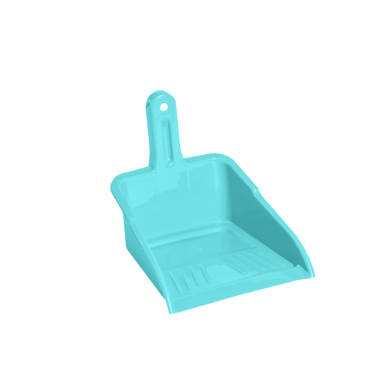 KY THÁI LỚN_thumbnail_4