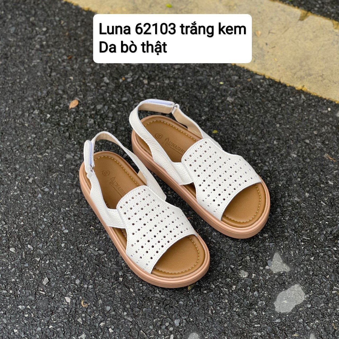 Luna 62103_thumbnail_6