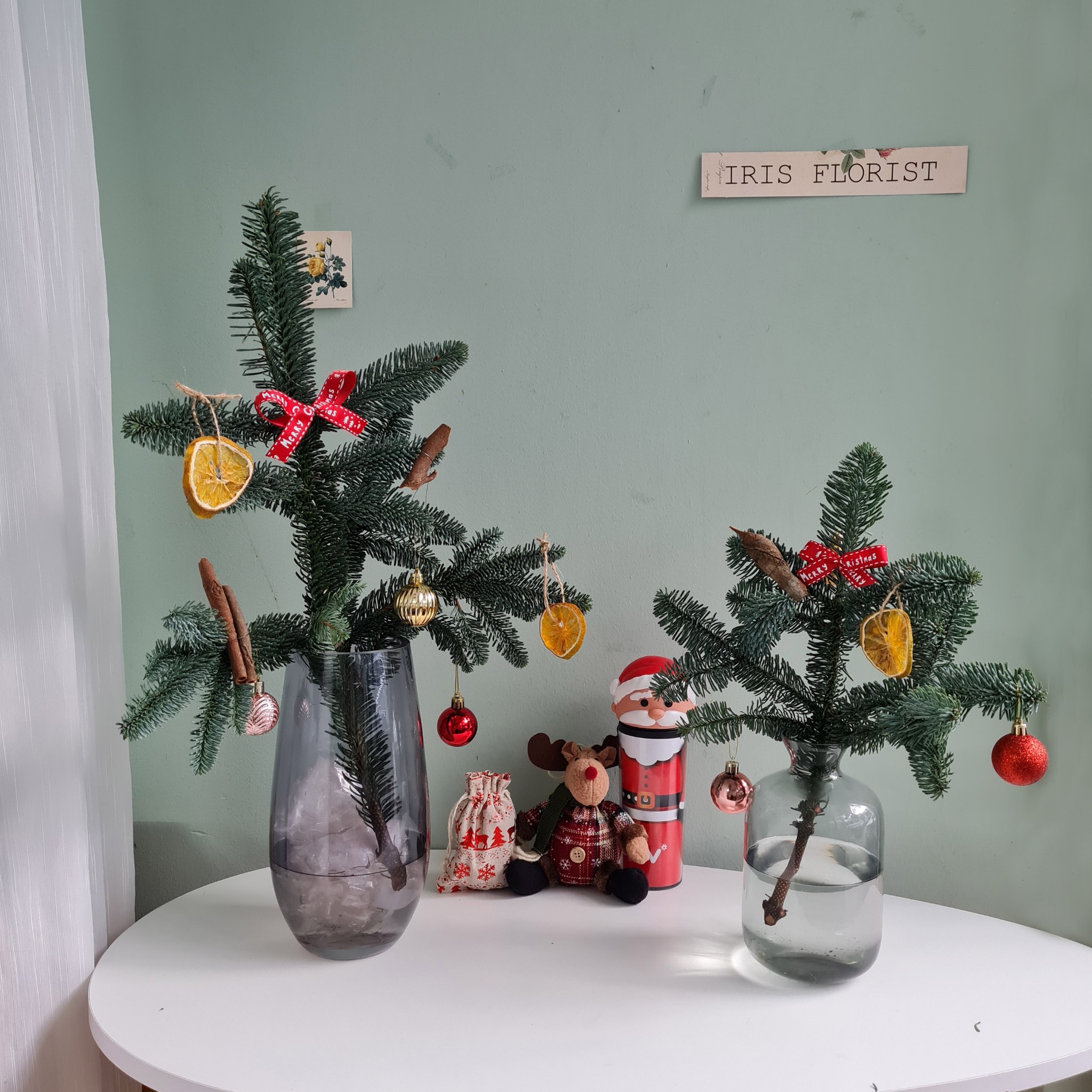 Cành thông Đan Mạch Nobilis - 30cm/50cm