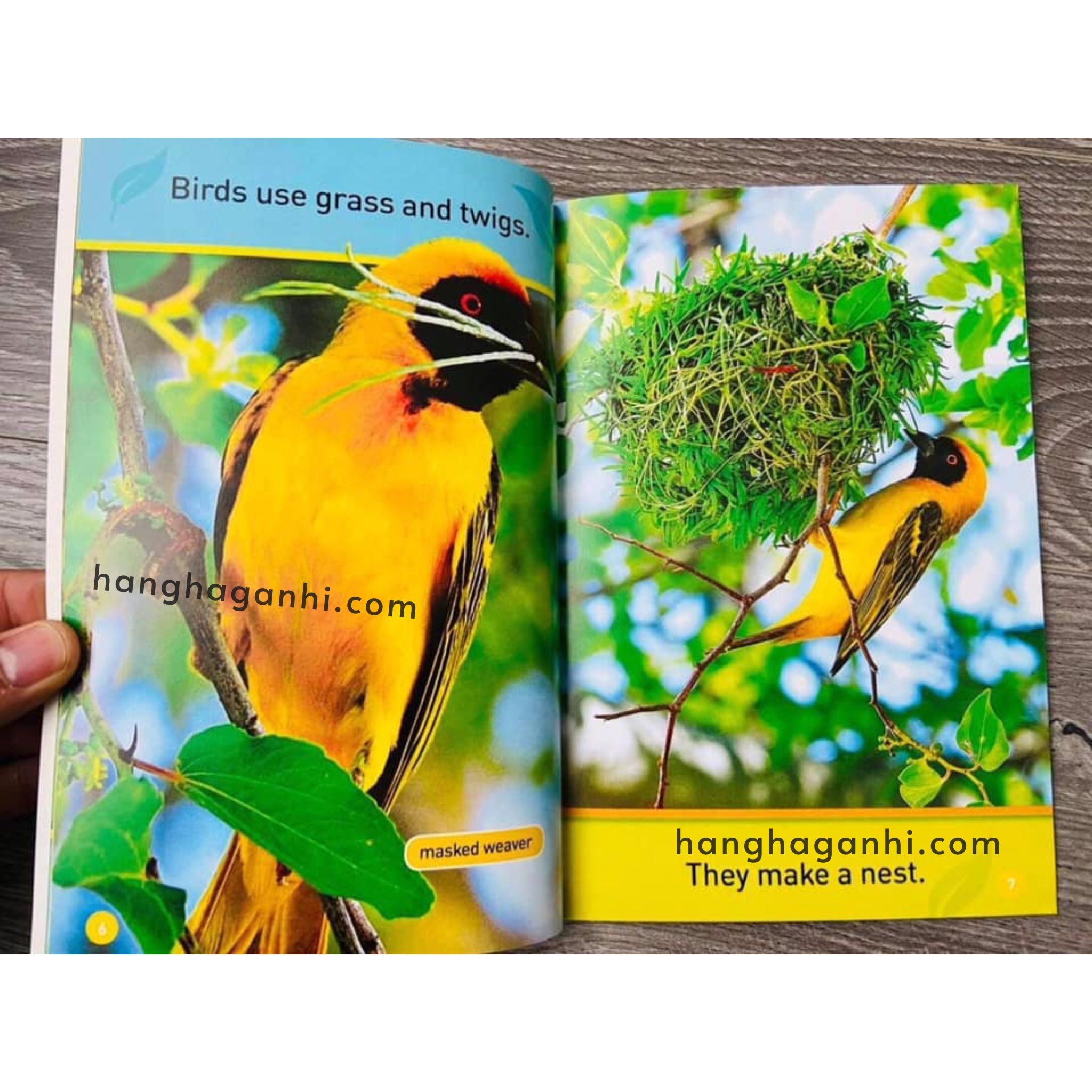 Bộ 30 cuốn National Geographic Kids level Pre-reader - sách Khoa học tiếng Anh nhập khẩu, nguyên seal_thumbnail_2