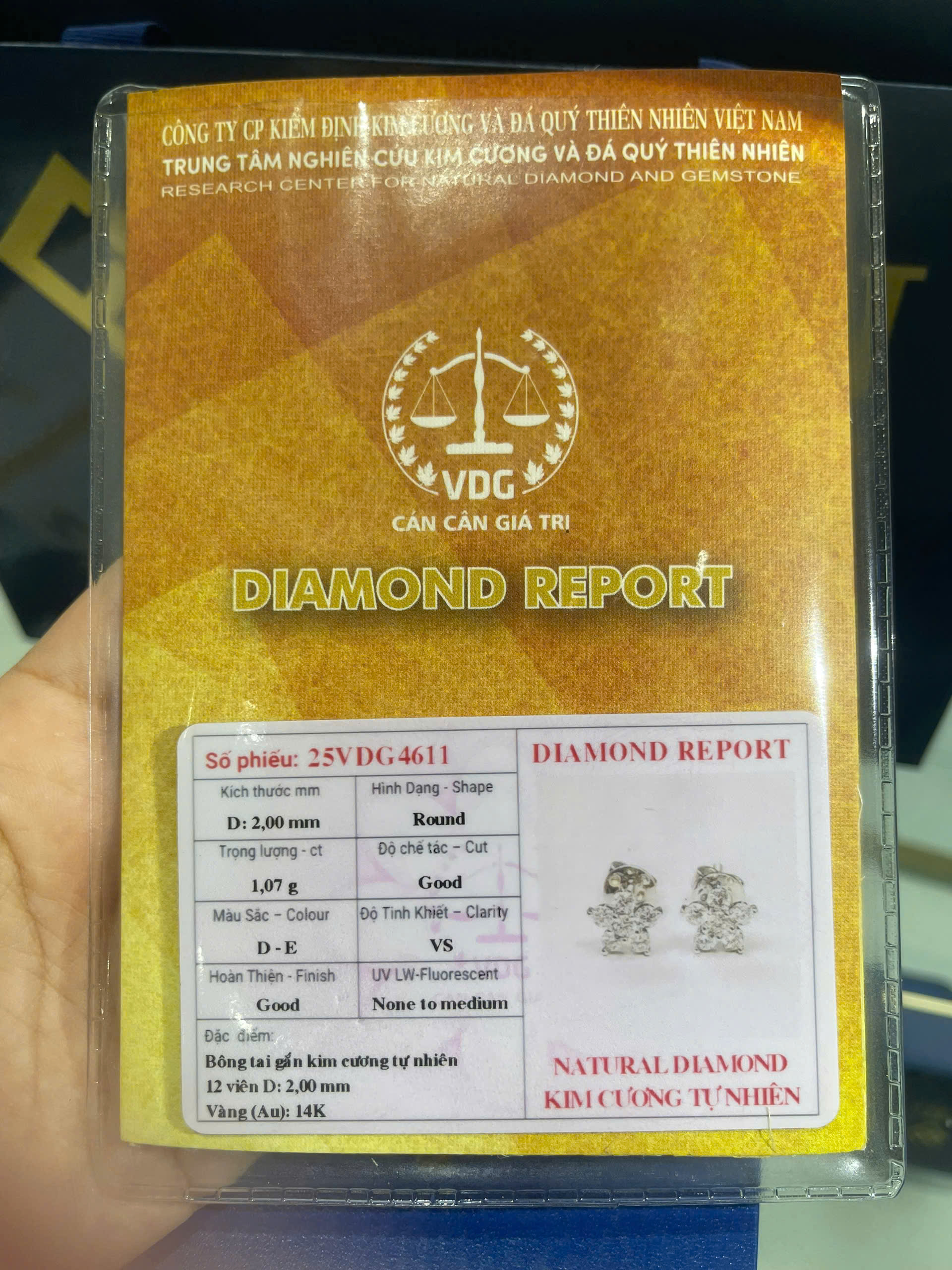 Hoa Tai 12 Viên Kim Cương_thumbnail_4