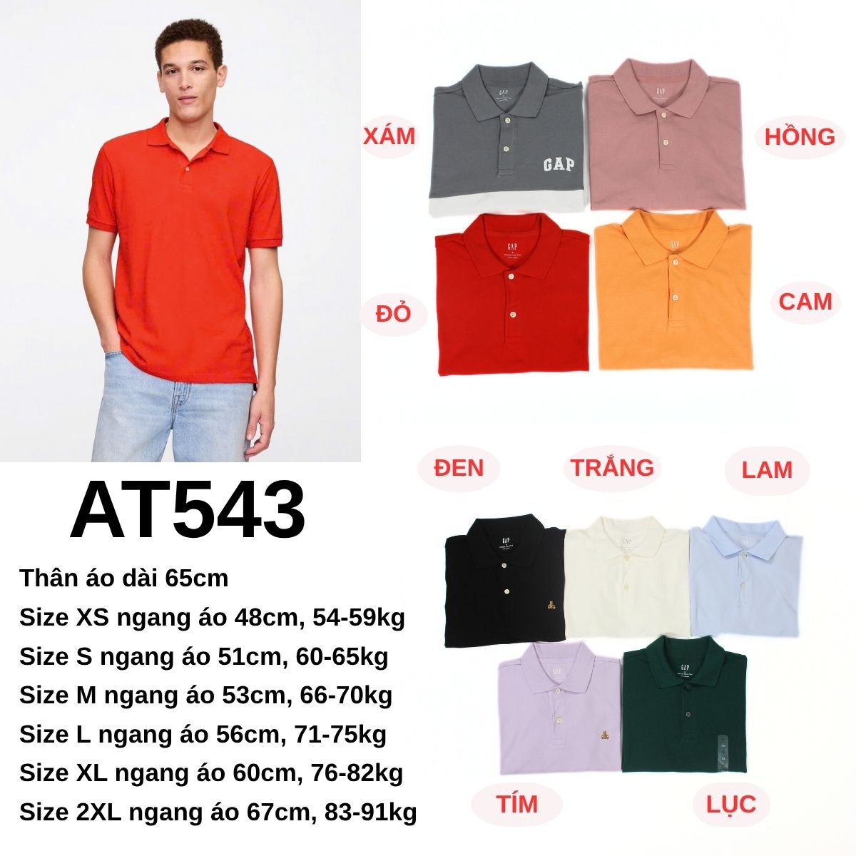 AT543 Áo polo nam - GẤP