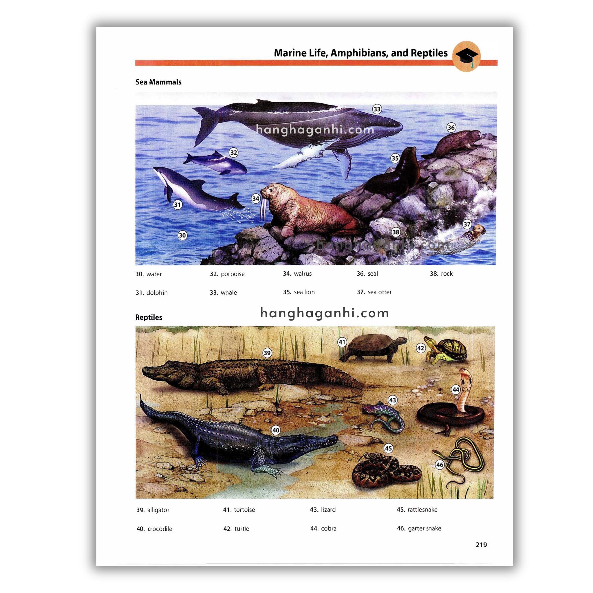 Oxford Picture Dictionary Third Edition: Từ điển Tiếng Anh_thumbnail_11