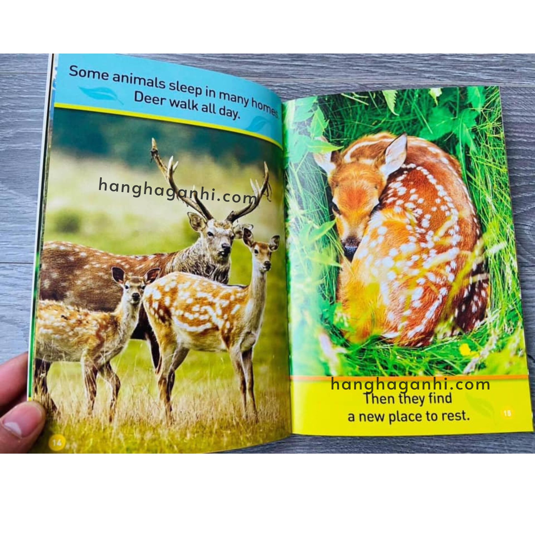 Bộ 30 cuốn National Geographic Kids level Pre-reader - sách Khoa học tiếng Anh nhập khẩu, nguyên seal_thumbnail_4