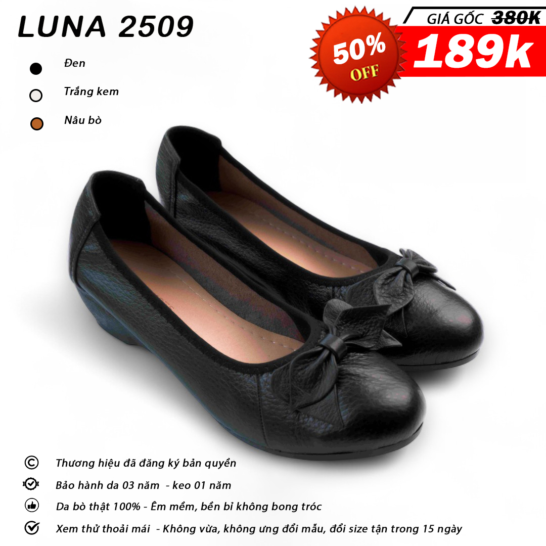 Luna 2509