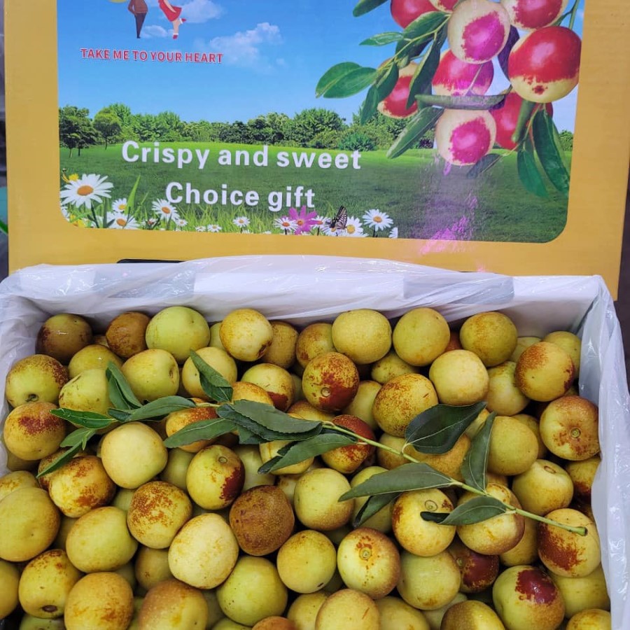 Hồng Táo Sữa Bò_thumbnail_3