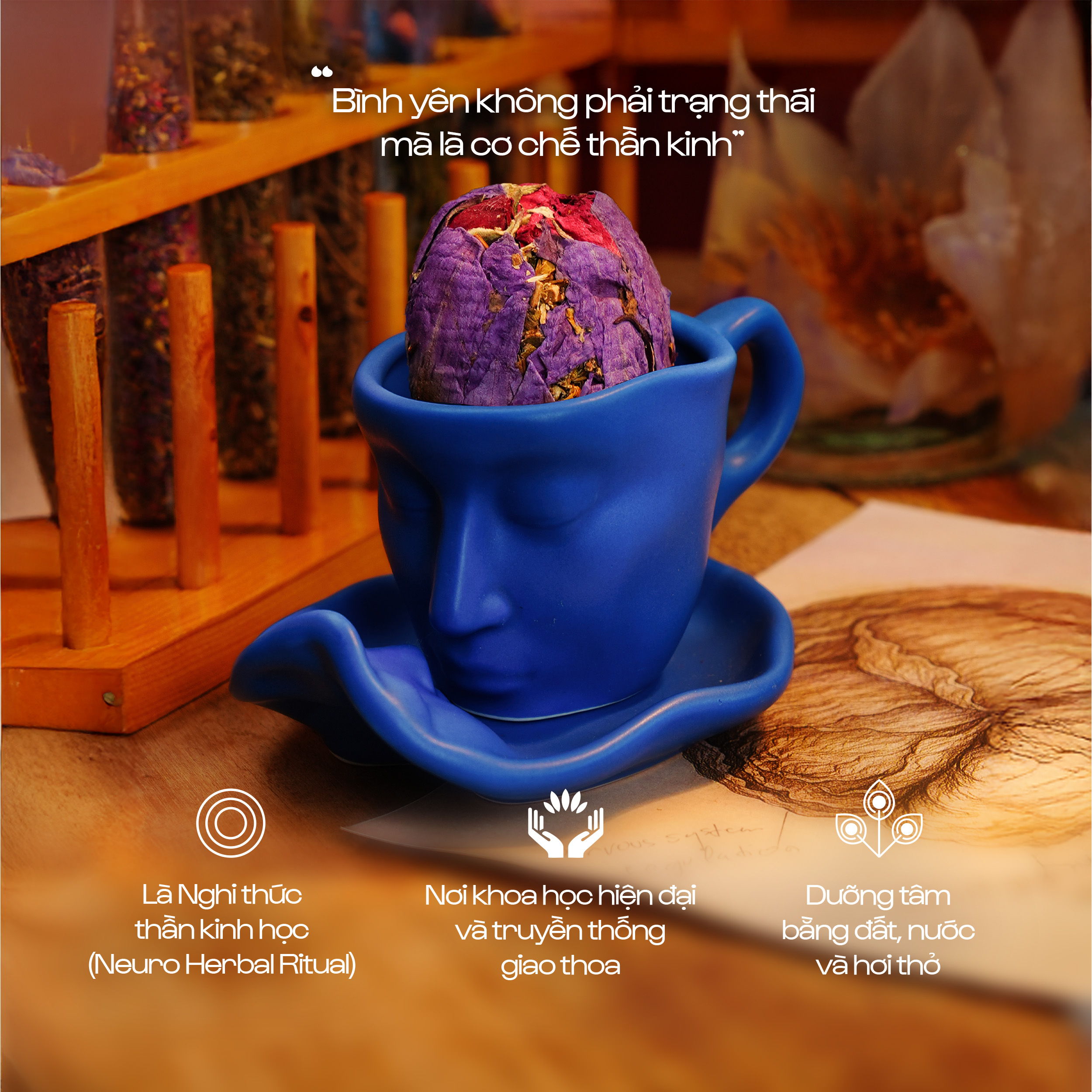 Trà Ngũ Lành - Giảm Căng Thẳng & Điều Hòa Thần Kinh & Ngủ Sâu Tự Nhiên | Natural’s Heal