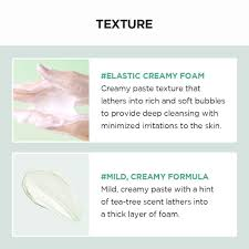 SKIN1004 Centella Tea-Trica BHA Foam 125ml_thumbnail_4