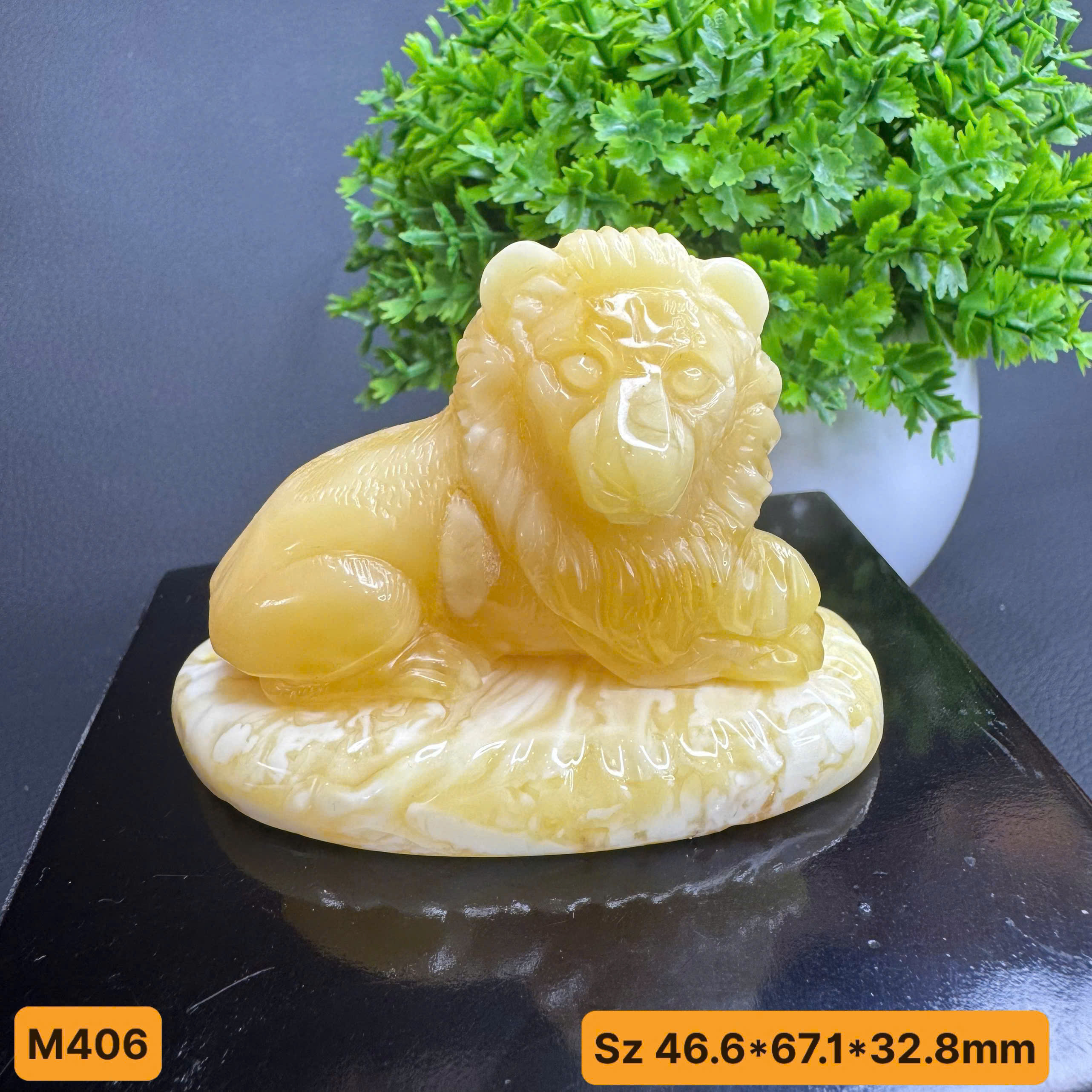 Hàng Điều Khắc Sư Tử Bạch - M406