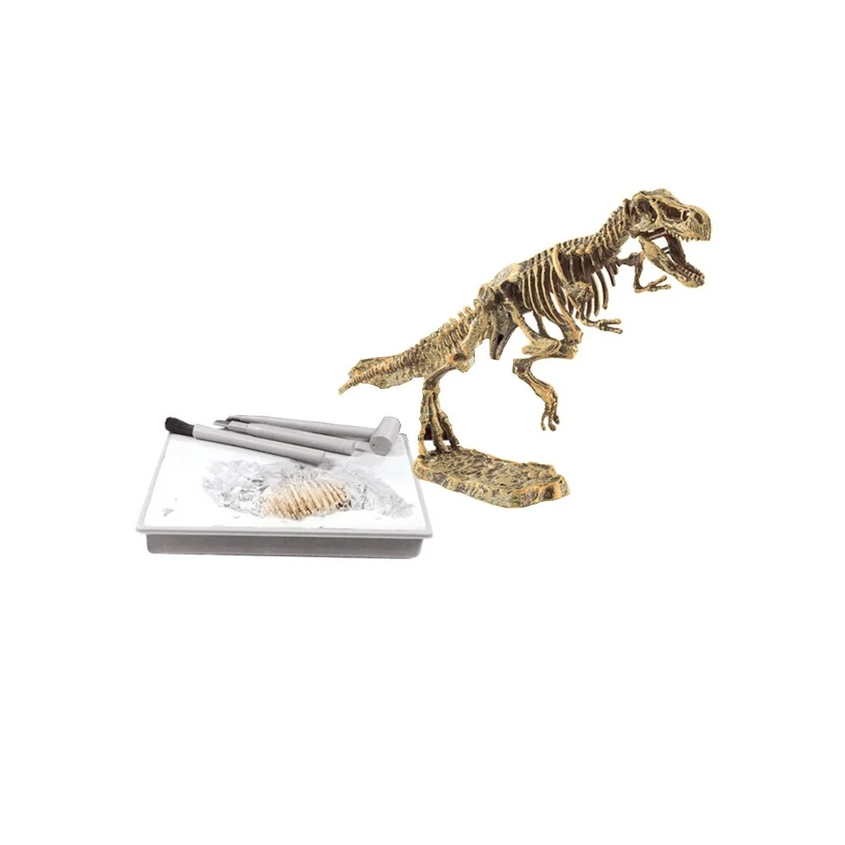 Dino Excavación