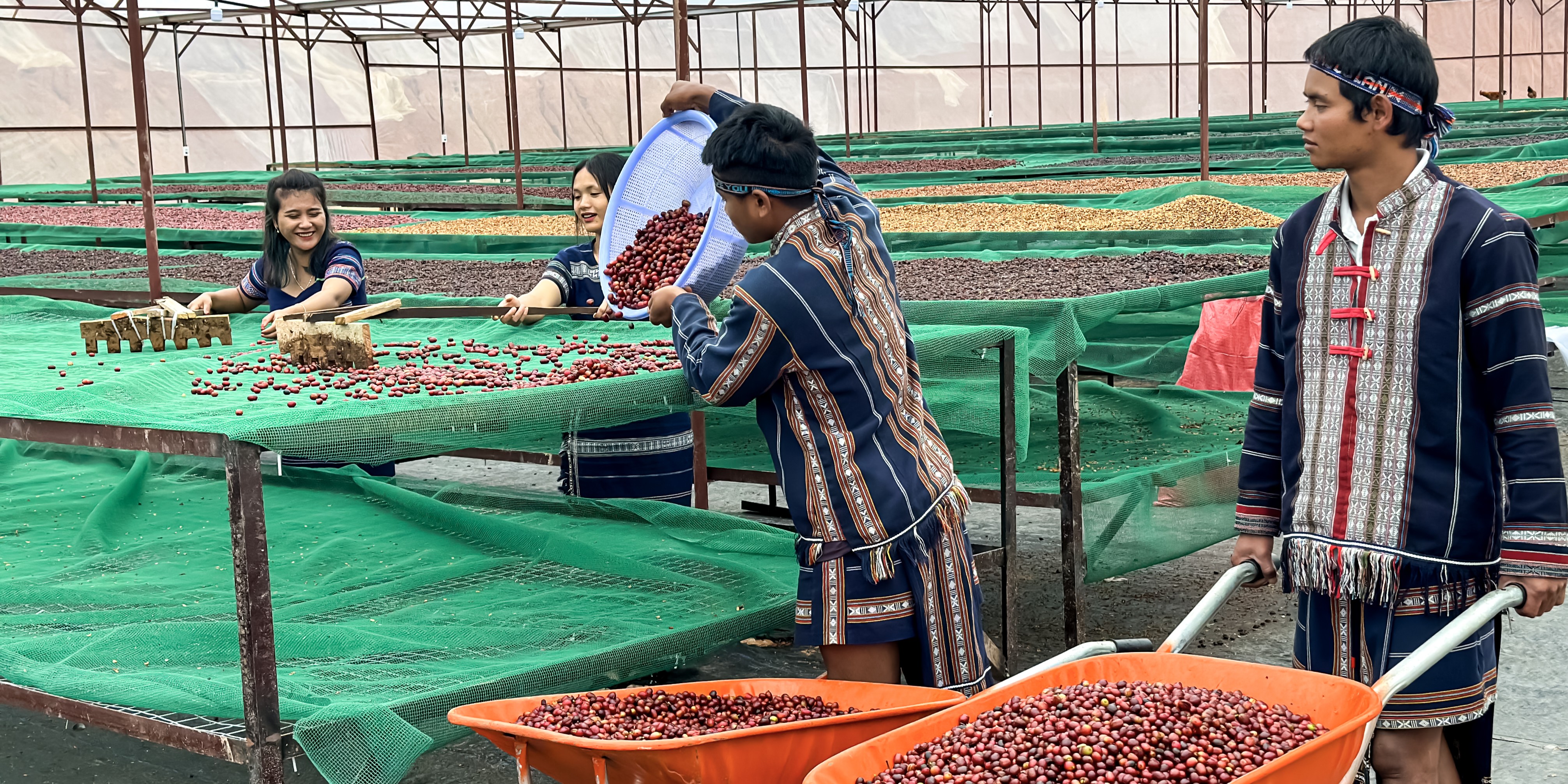 IMG_1726 copy (1)(1)