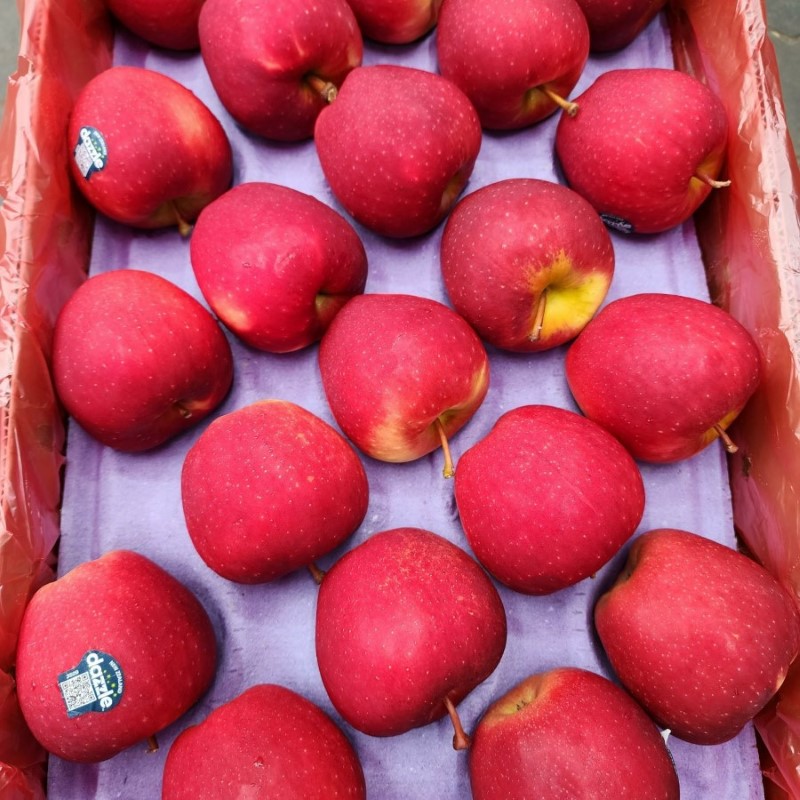 Táo Dazzle (New Zealand)_thumbnail_3