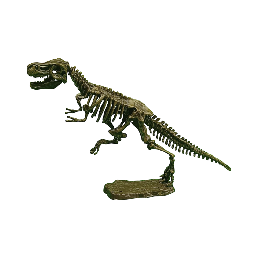 Dino Excavación_thumbnail_4