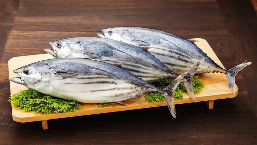 Cá ngừ Nguyên con, Đánh bắt trực tiếp [Giao hàng hỏa tốc Huế]_thumbnail_4