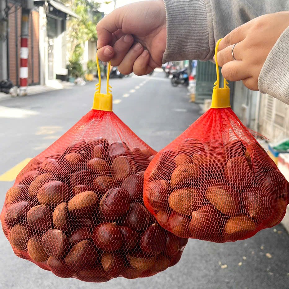 Hạt Dẻ Tươi_thumbnail_4
