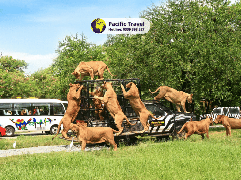 Thái Lan: Bangkok - Pattaya - Safari 5N4Đ_4