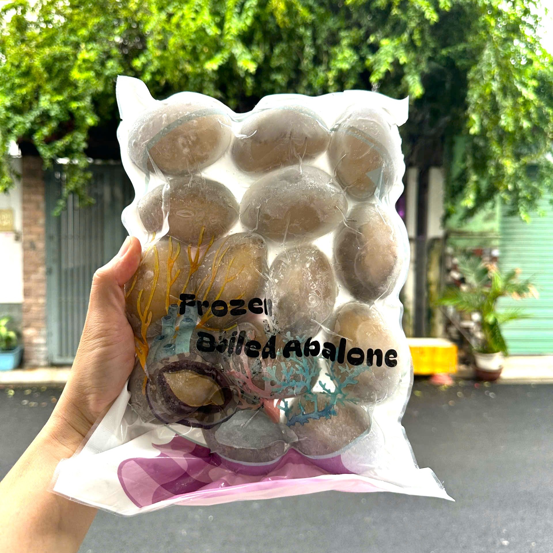 Bào Ngư Đông Lạnh Abalone