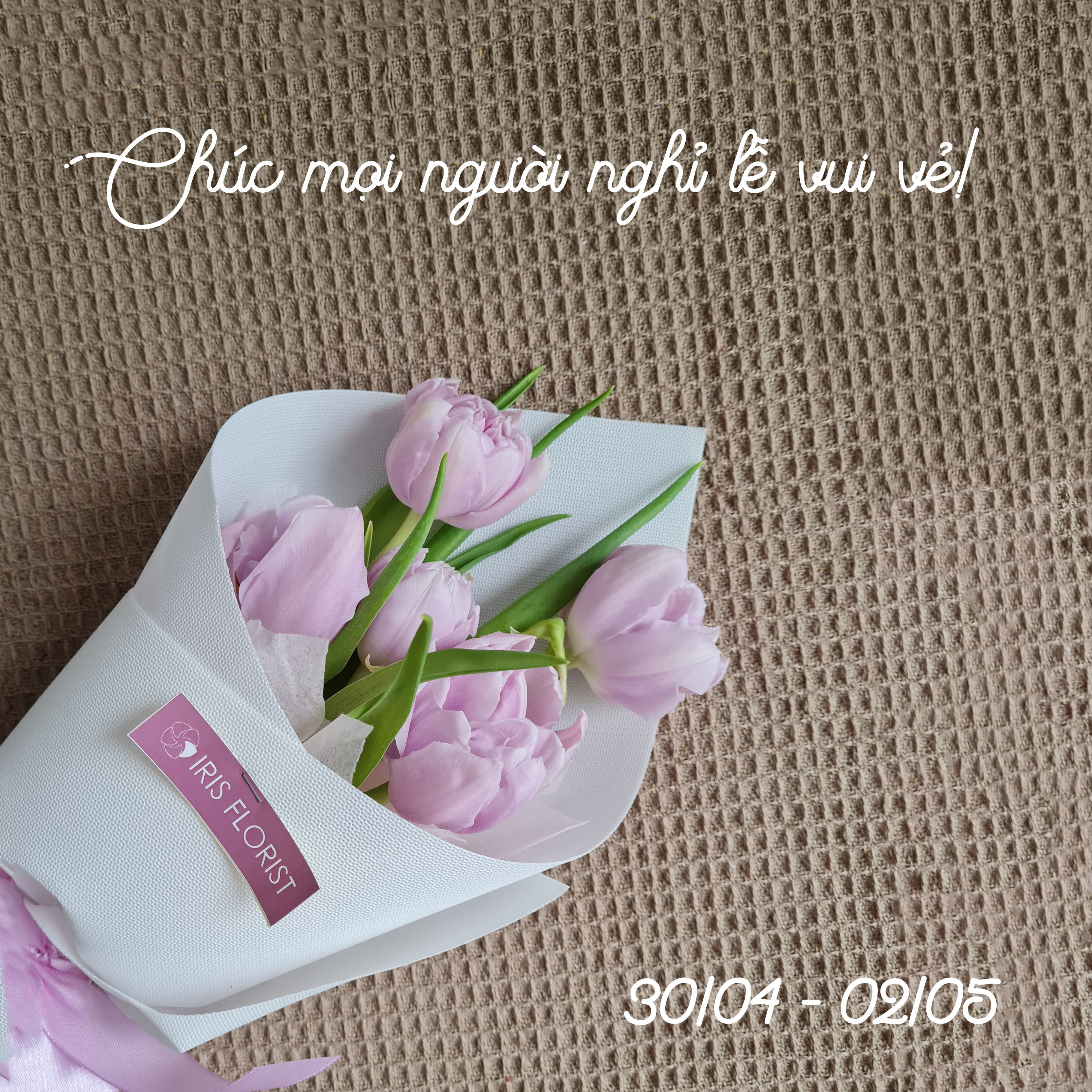 Bó ốc quế - Tulip Tím nhạt 5b