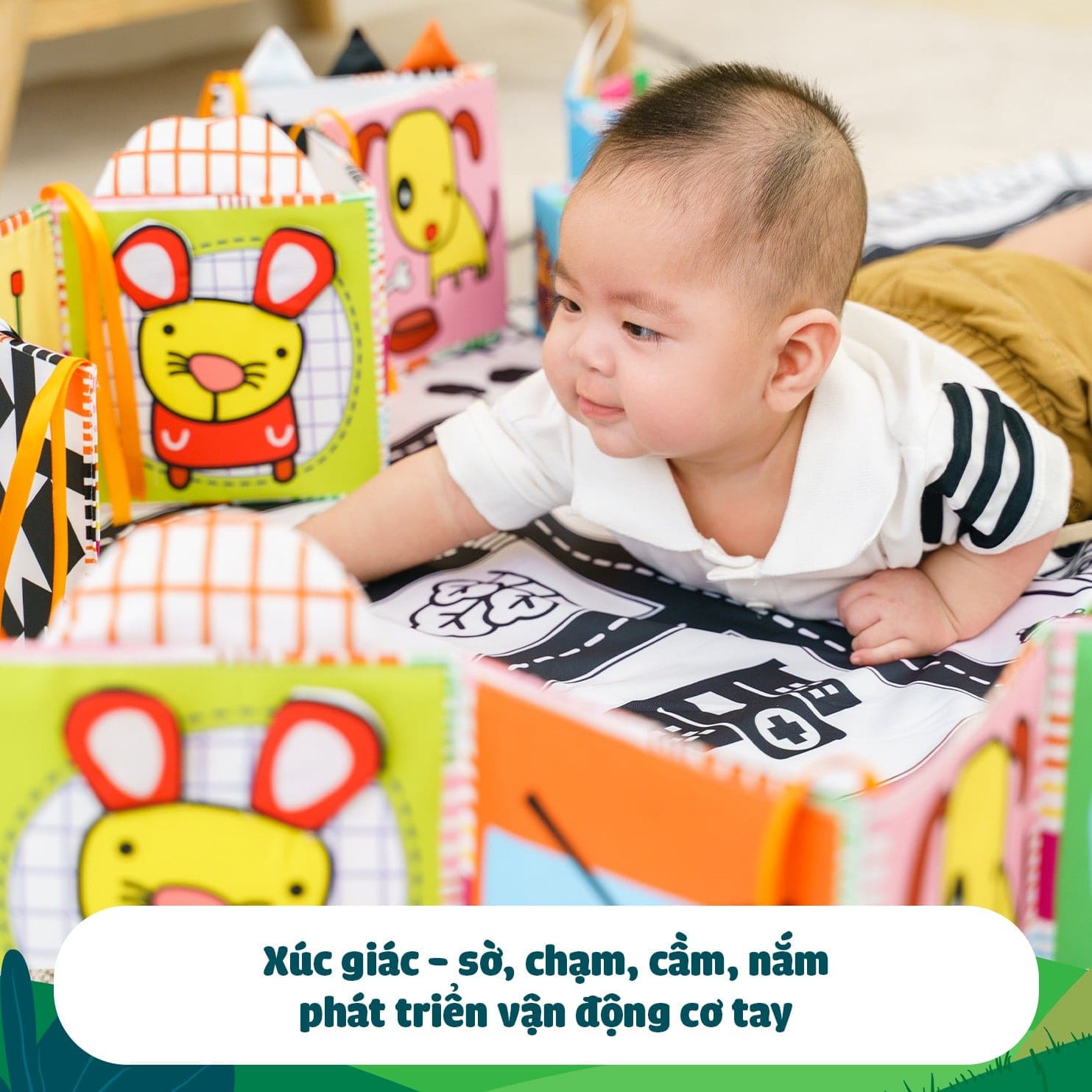 SÁCH VẢI THỊ GIÁC_thumbnail_0