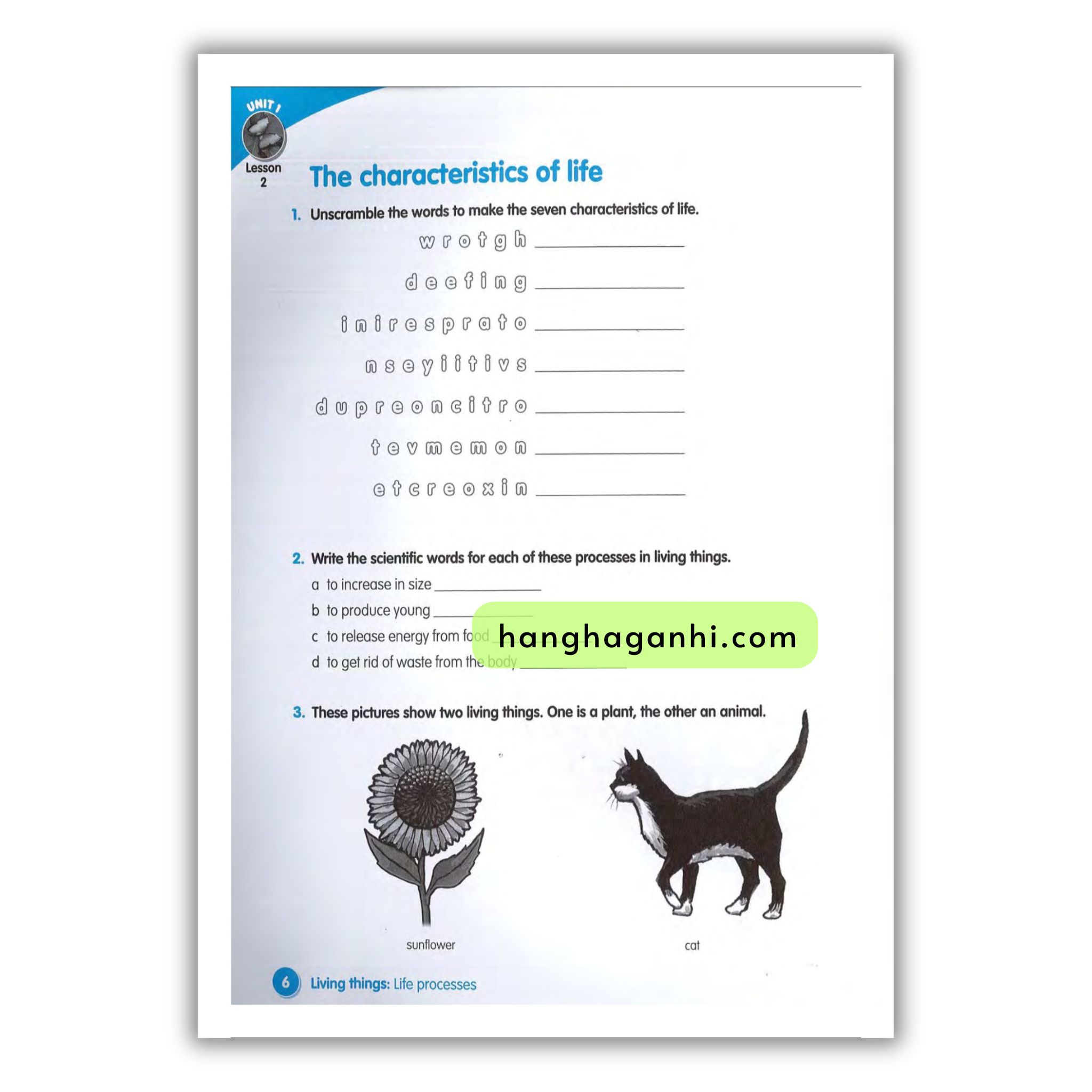 Macmillan Science 4 Workbook_thumbnail_10