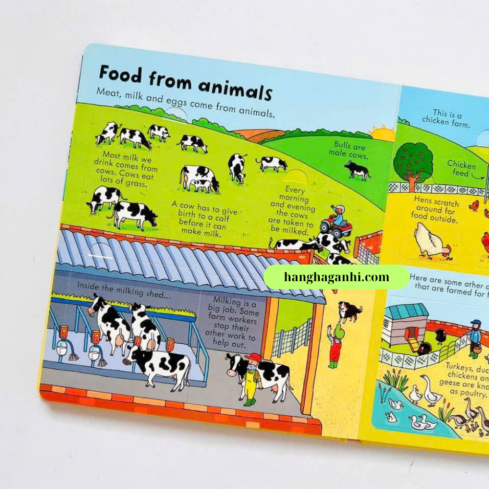 Sách lật mở Usborne Look inside Food_thumbnail_2