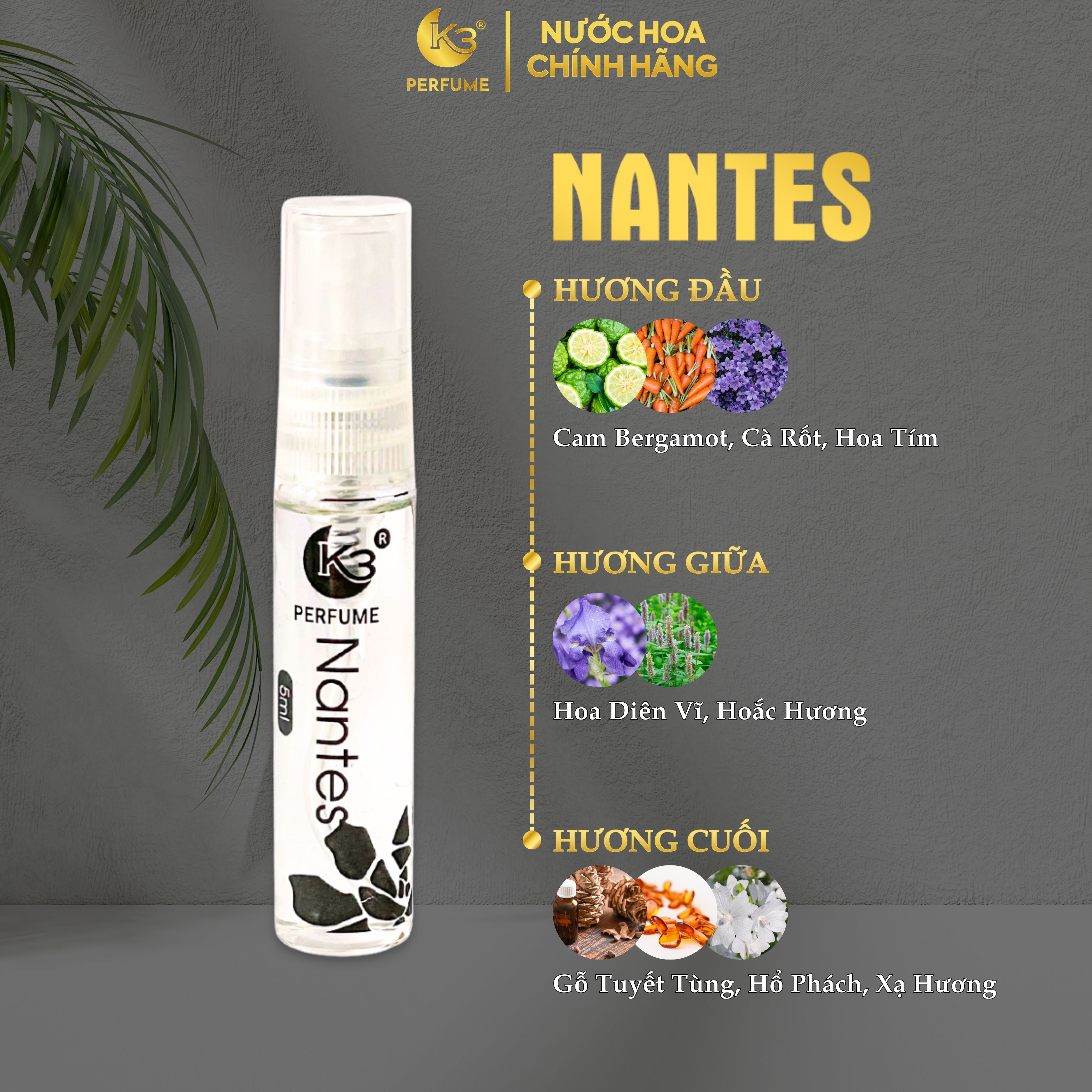 Combo Gift Test Nantes - Calais - Dijon_thumbnail_5