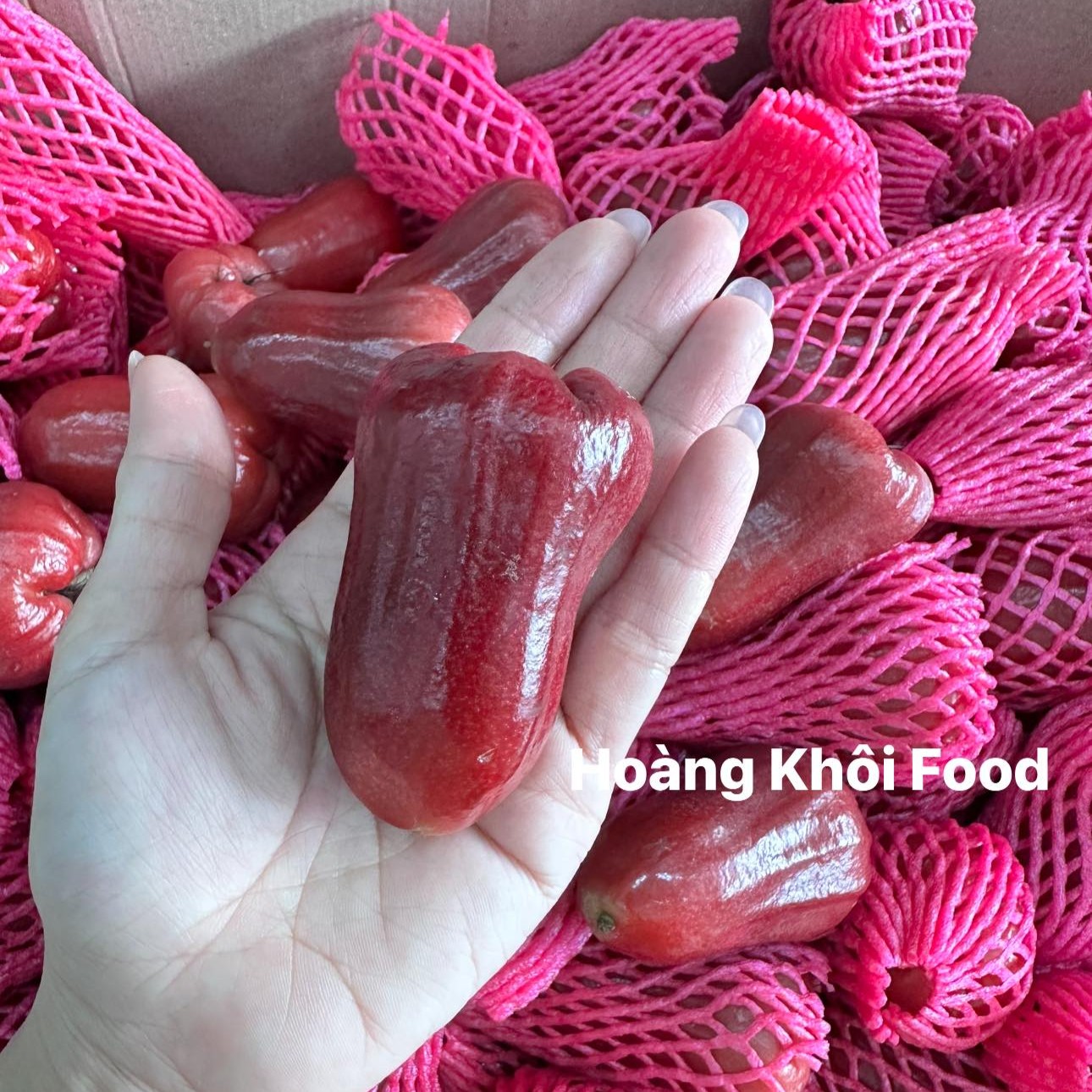 Mận An Phước_thumbnail_3