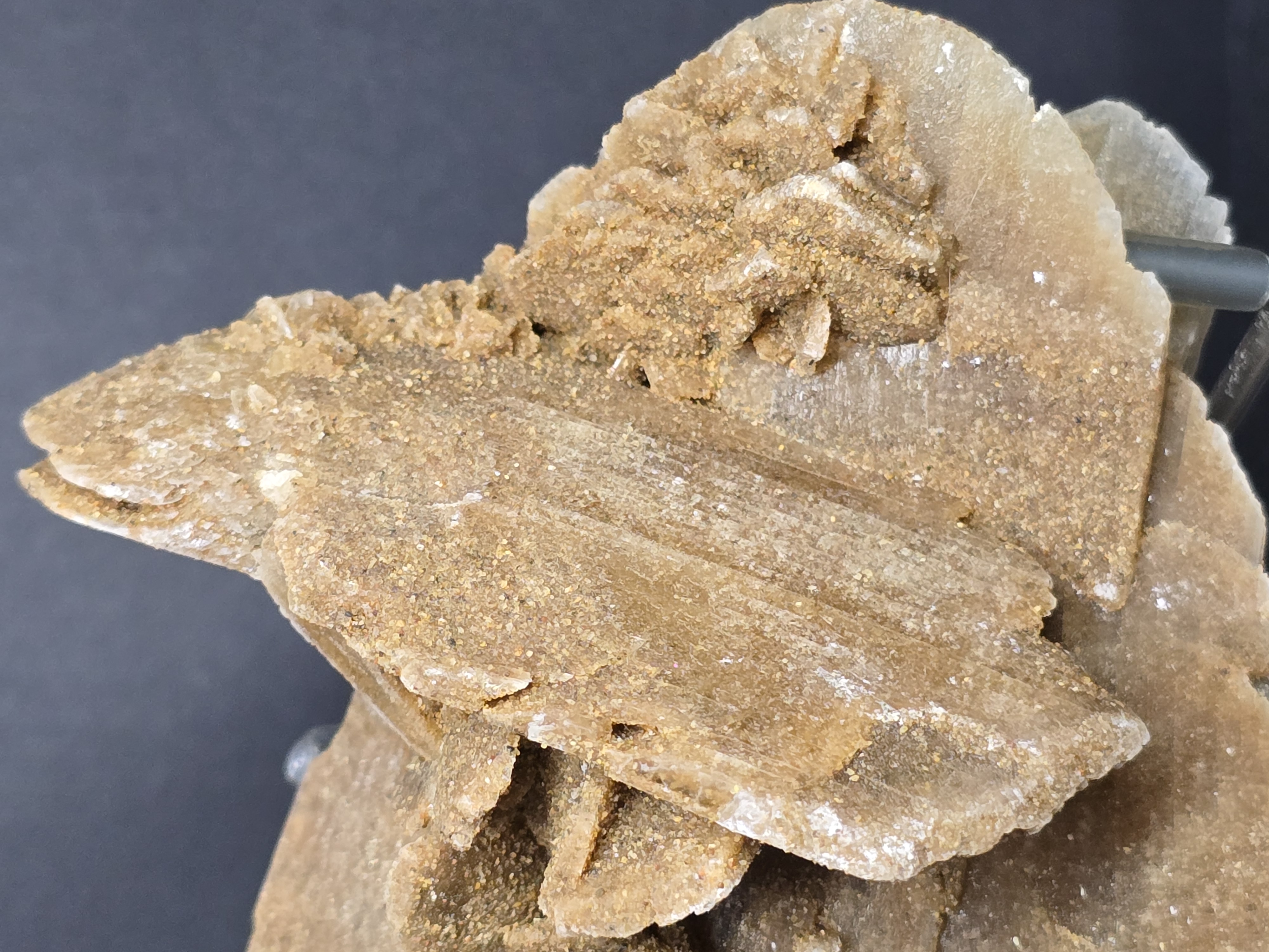 Tinh Thể Hoa Hồng Sa Mạc Desert Rose (có phản ứng UV) - Nội Mông_thumbnail_17